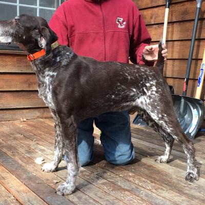 Ben Quitta von Seiger Boss 